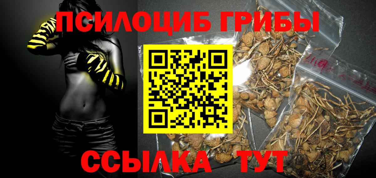 Галлюциногенные грибы Cubensis Новоуральск